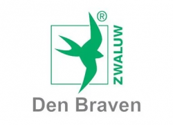 Zwaluw Den braven