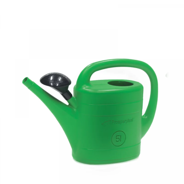 Prosperplast IKSP05-G642 Spring gieter met broeskop - 5 liter - groen